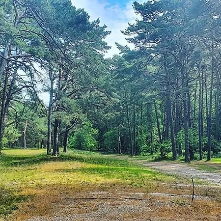 ホームステイ Oliwka *