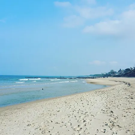 Kwatera prywatna Oliwka *