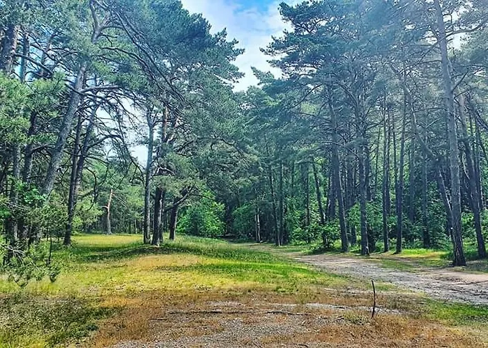 Alloggio in famiglia Oliwka *